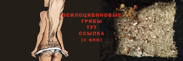 хмурый Балабаново