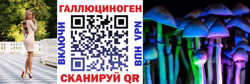 KRAKEN сайты даркнета как зайти Псилоцибиновые грибы Cubensis Вихоревка